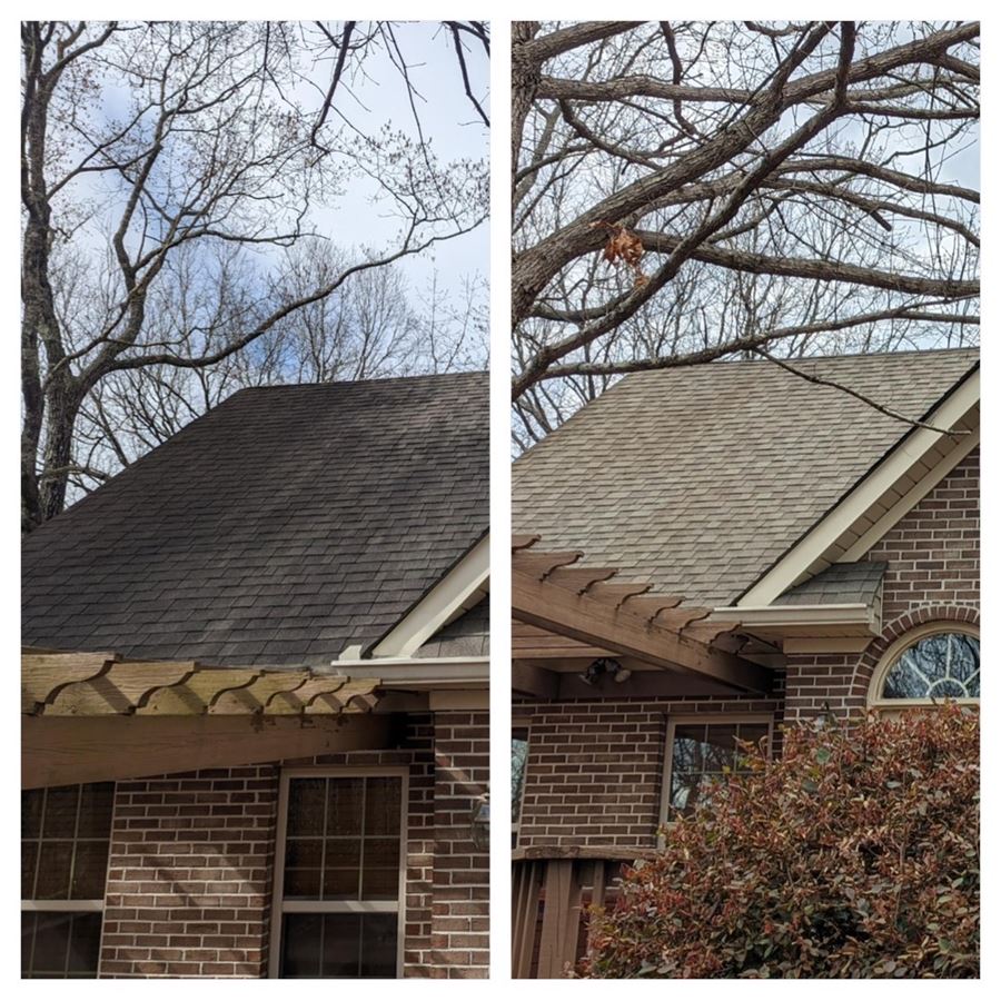 Griffin roof cleaning